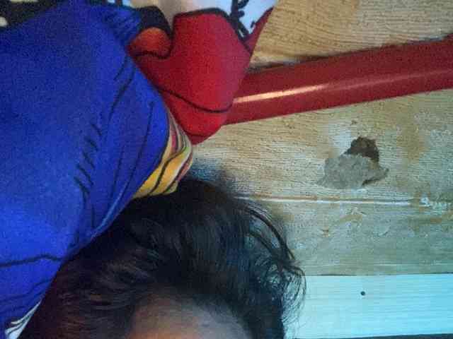 Rainie webcam