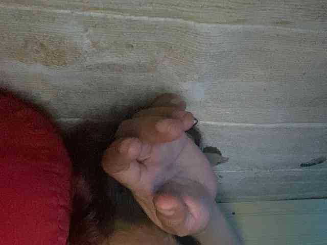 Rainie webcam