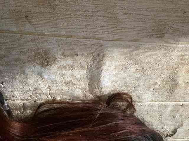 Rainie webcam