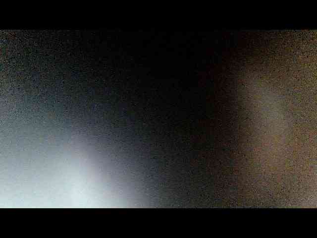 MoonFlowers webcam