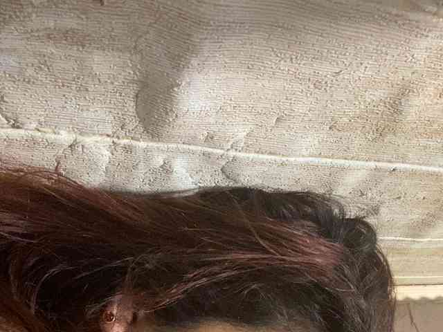 Rainie webcam