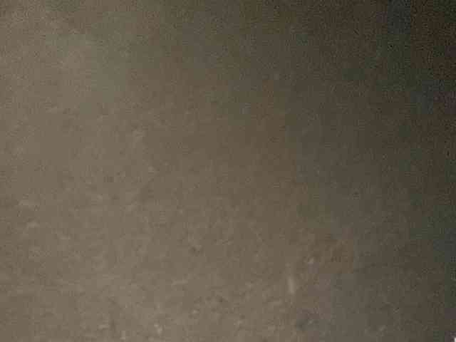 Rainie webcam