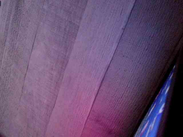 Rainie webcam