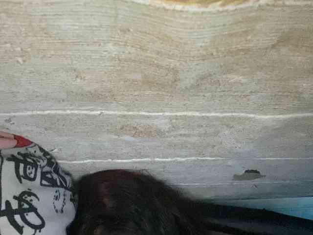 Rainie webcam
