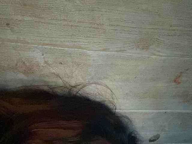 Rainie webcam