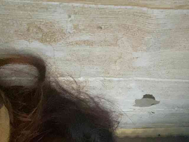 Rainie webcam