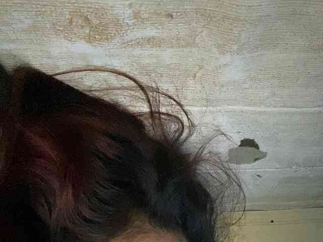 Rainie webcam