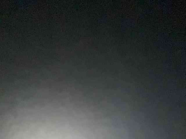 Rainie webcam