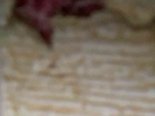 Rainie webcam