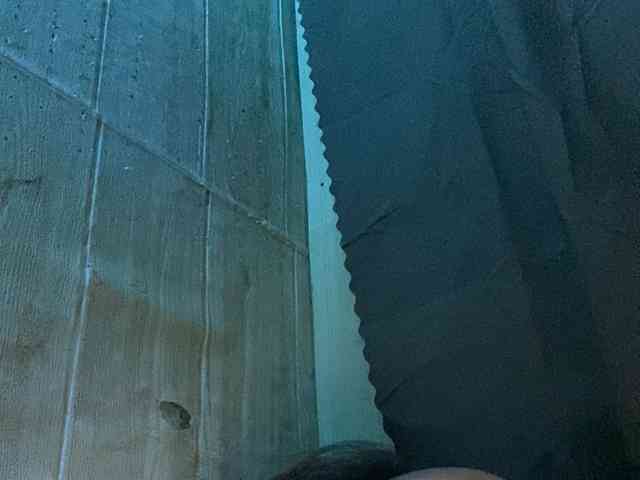 Rainie webcam