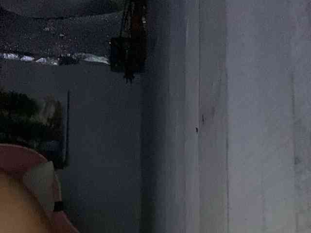 Rainie webcam