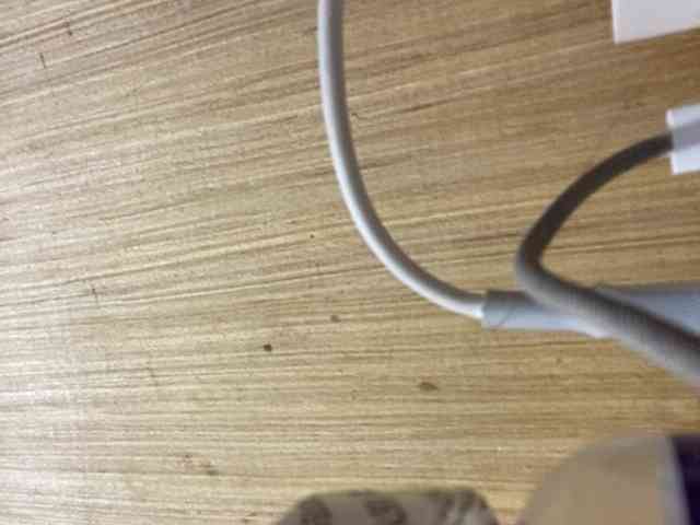 Rainie webcam