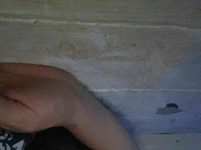 Rainie webcam