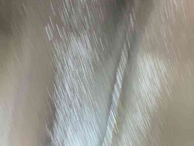Rainie
