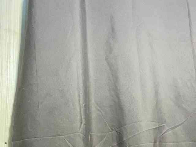 Rainie webcam