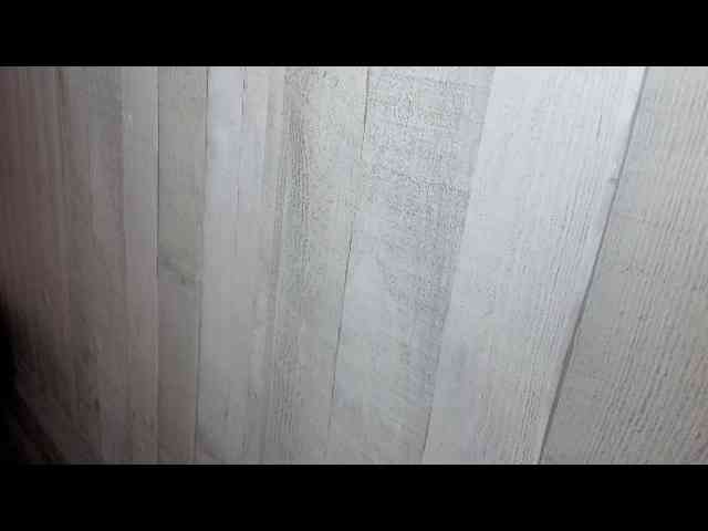 Rainie webcam