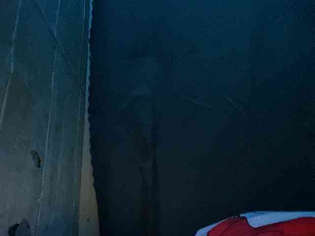 Rainie webcam