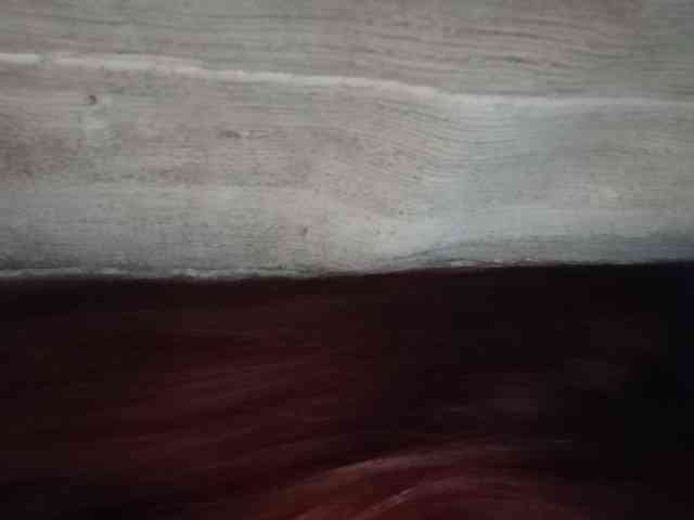 Rainie webcam