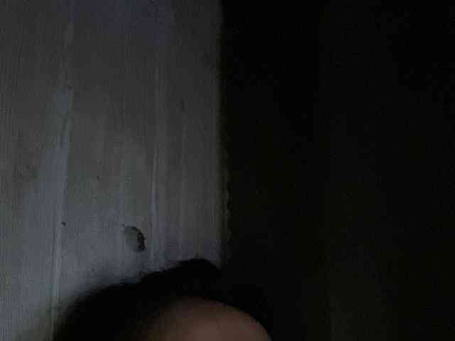 Rainie webcam