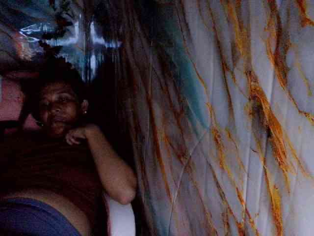 rasberrykat webcam