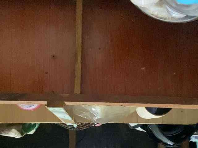 Rainie webcam