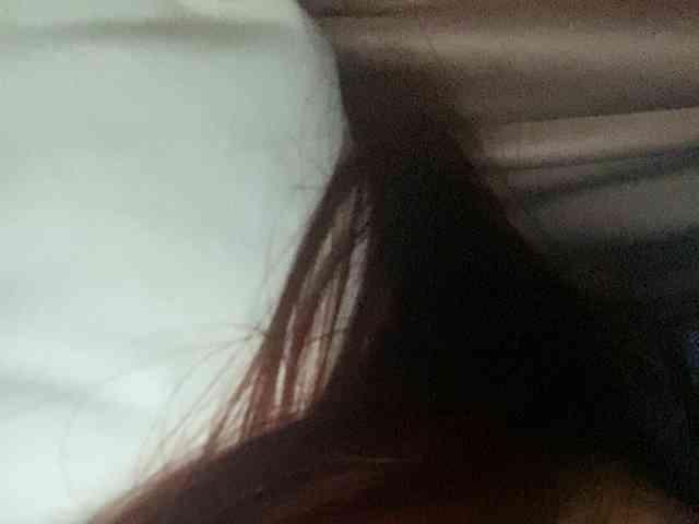 Rainie webcam