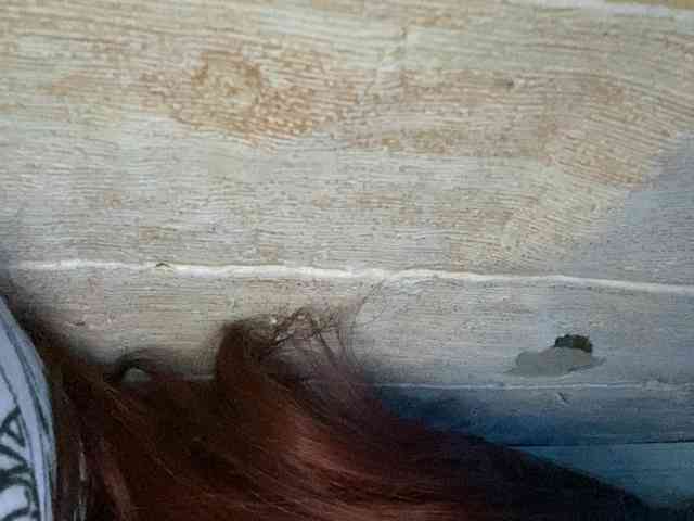 Rainie webcam