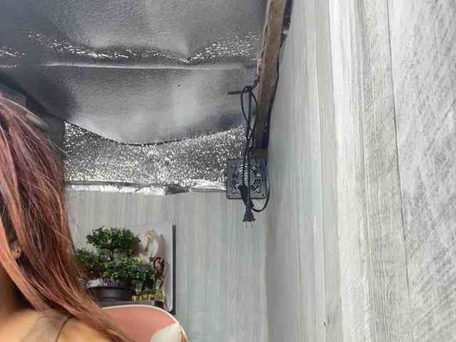 Rainie webcam
