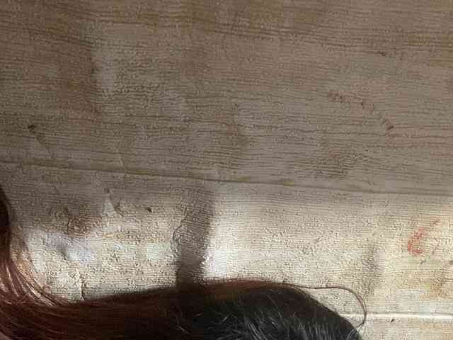 Rainie