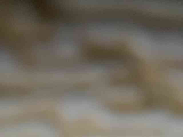 Rainie webcam
