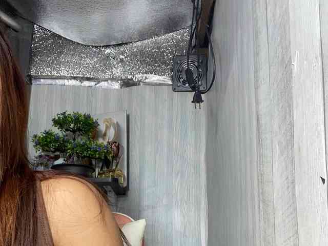 Rainie webcam
