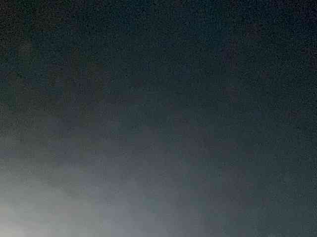 Rainie webcam