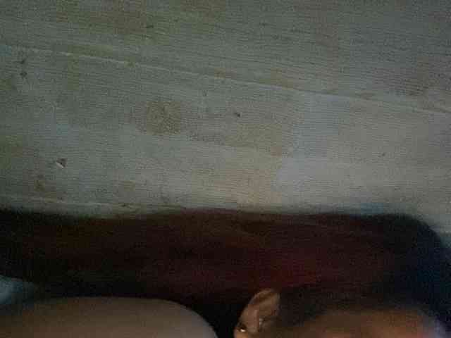 Rainie webcam