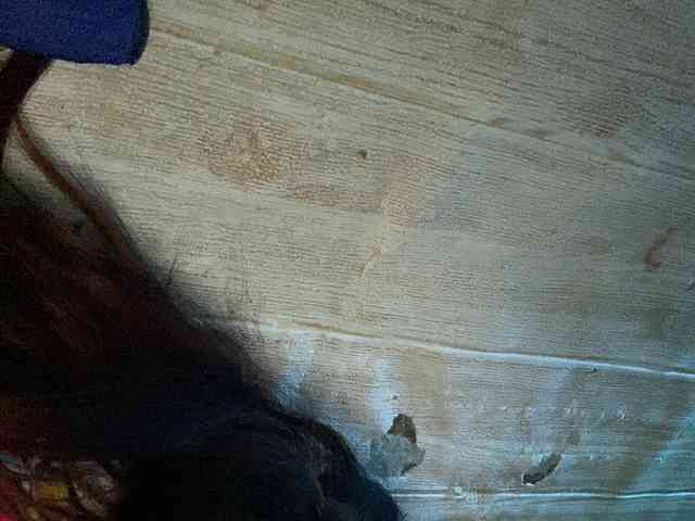 Rainie webcam