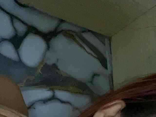 Rainie webcam
