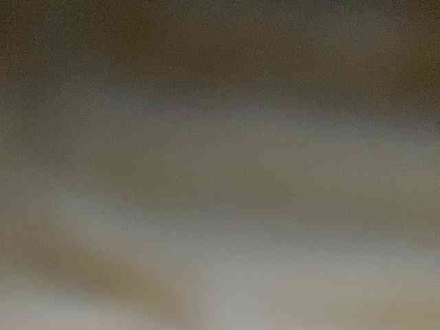 Rainie webcam