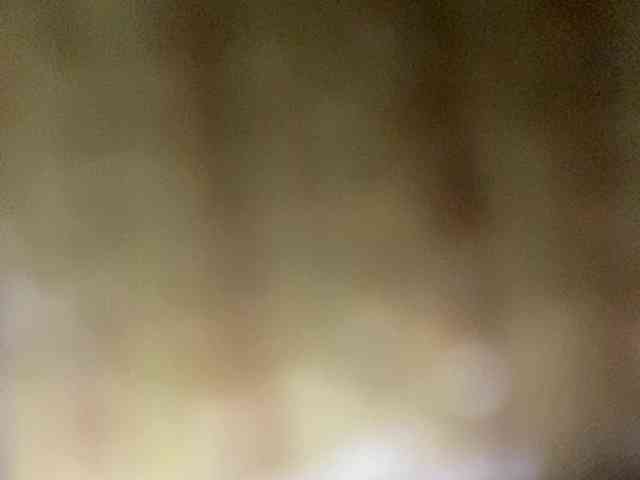 Rainie webcam