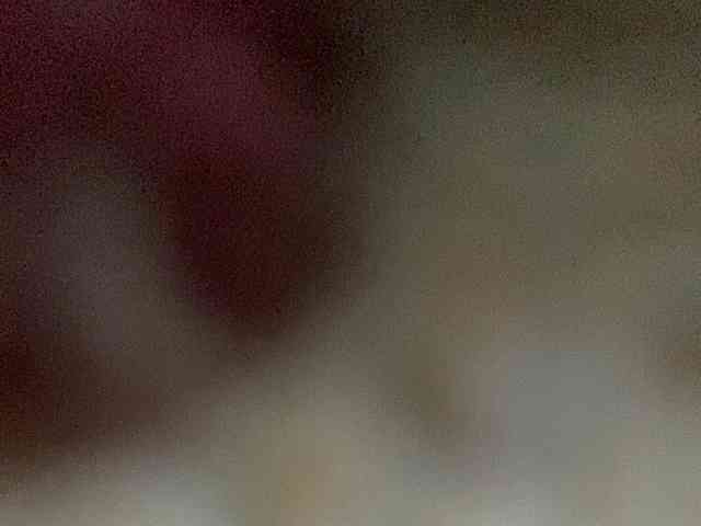 Rainie