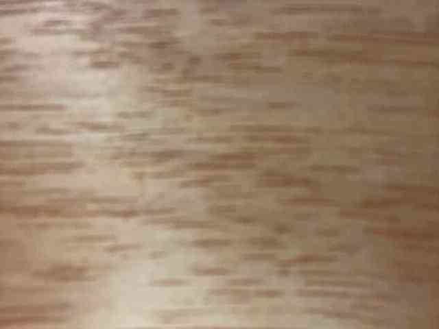 Rainie webcam