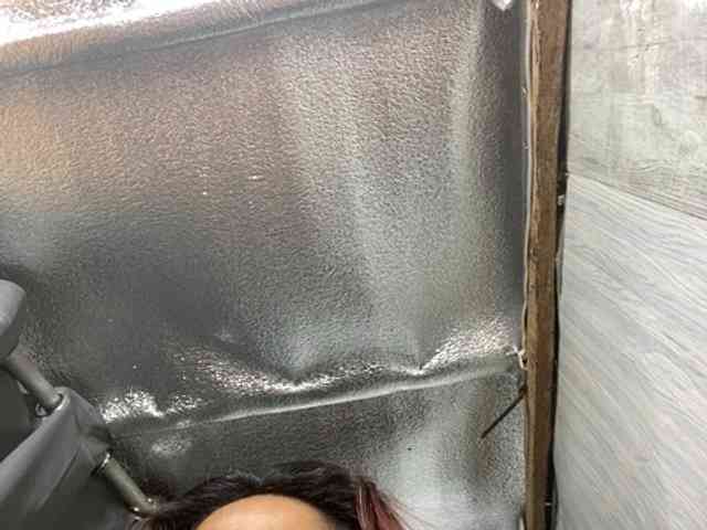 Rainie webcam