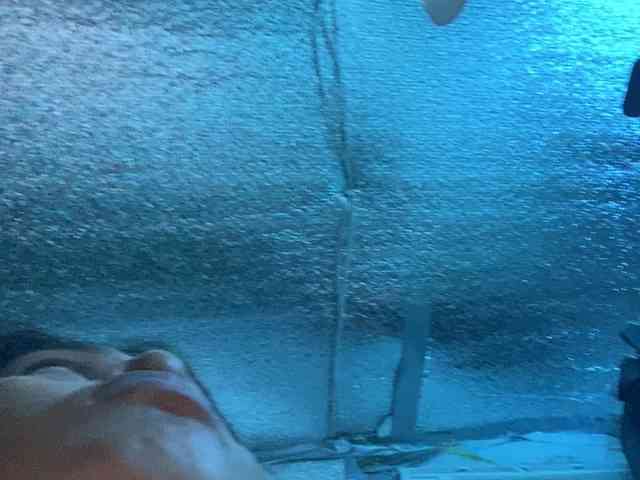 Rainie webcam