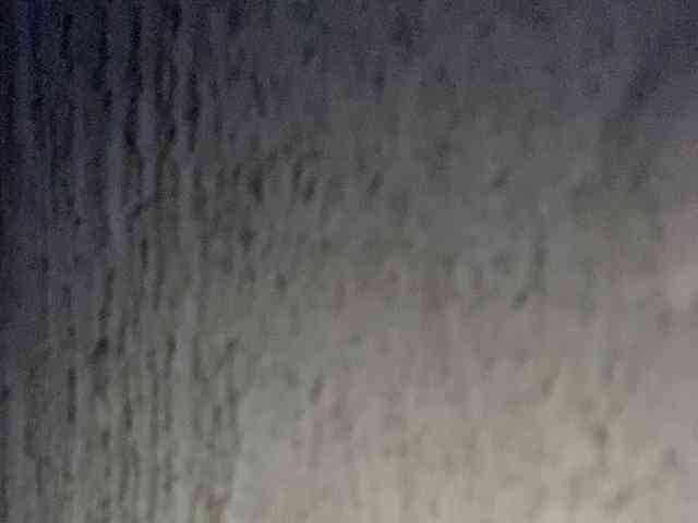 Rainie webcam
