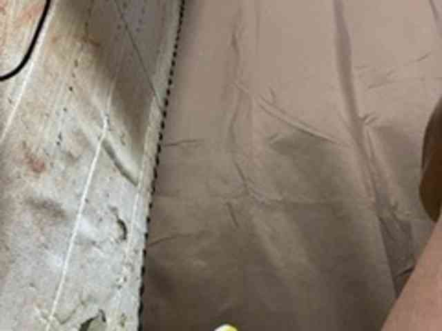 Rainie webcam