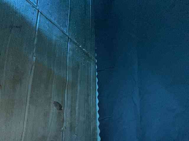 Rainie webcam