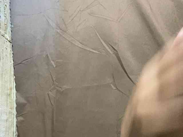 Rainie
