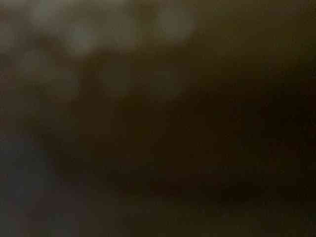Rainie webcam