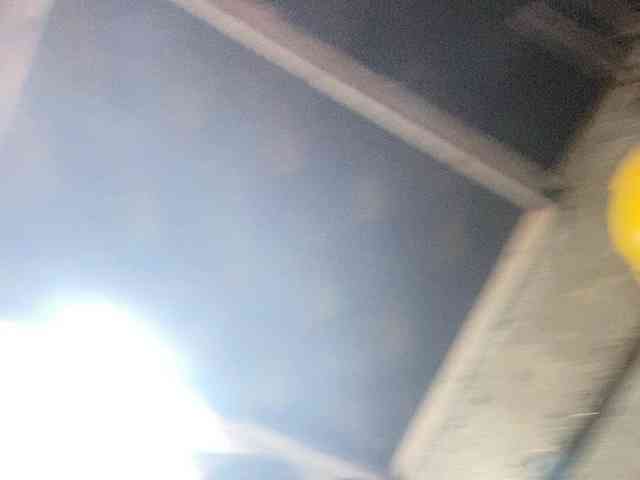 Rainie webcam