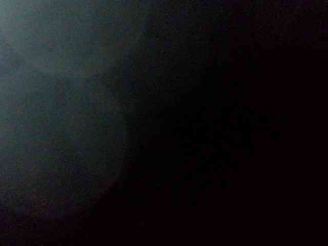 Rainie webcam