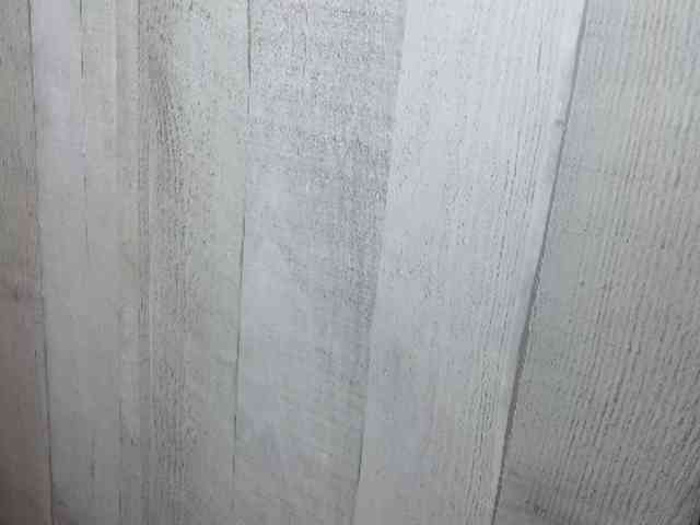 Rainie webcam