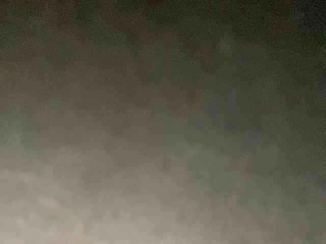 Rainie webcam